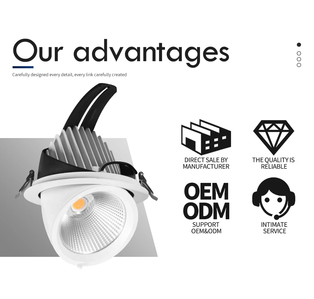 20W Ra80/Ra90 COB LED Gimbal Down Light